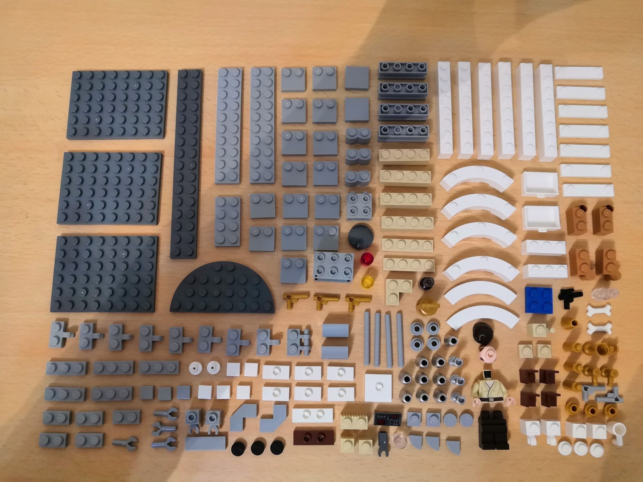 The LEGO Mos Eisley Cantina pieces organized to get started. Photo by Melika Jeddi.